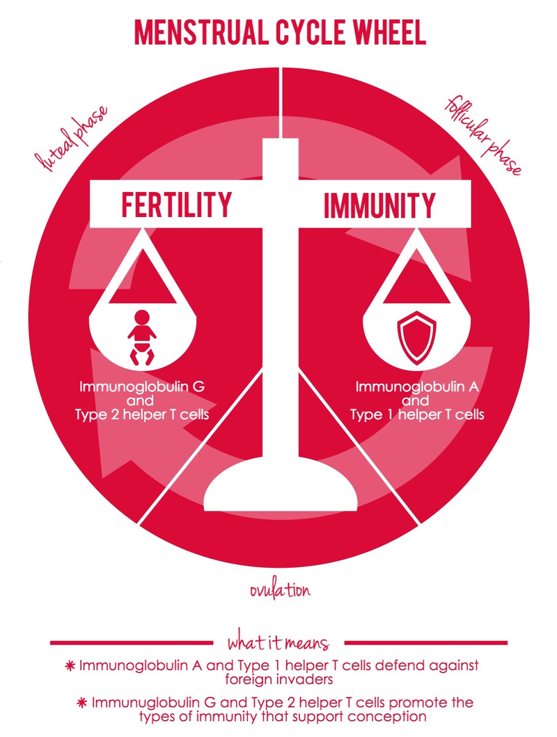 Illustration for article titled Want to Get Pregnant? Have Sex All Month Long, Not Just During Ovulation